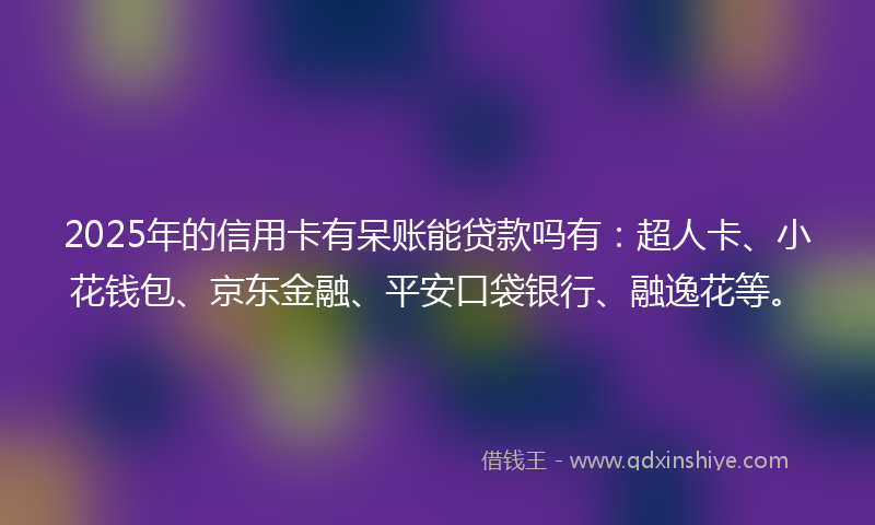 2025年的信用卡有呆账能贷款吗有：超人卡、小花钱包、京东金融、平安口袋银行、融逸花等。