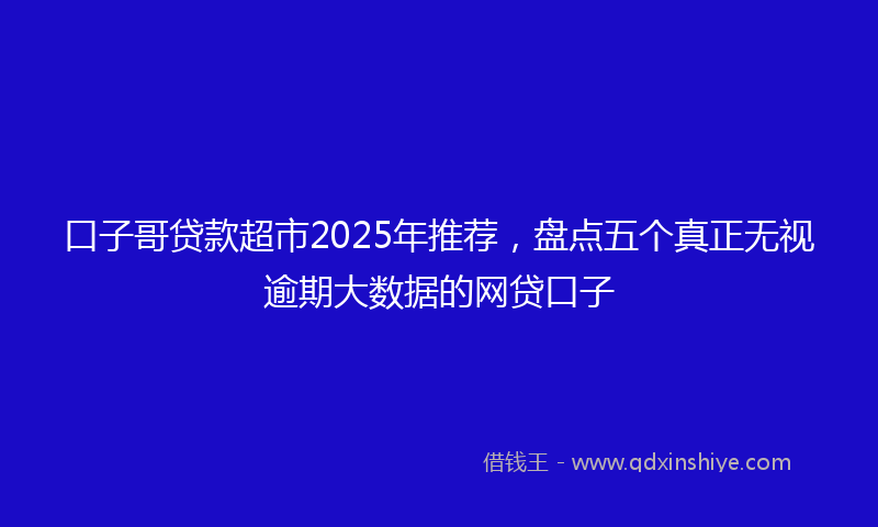 口子哥贷款超市2025年推荐，盘点五个真正无视逾期大数据的网贷口子
