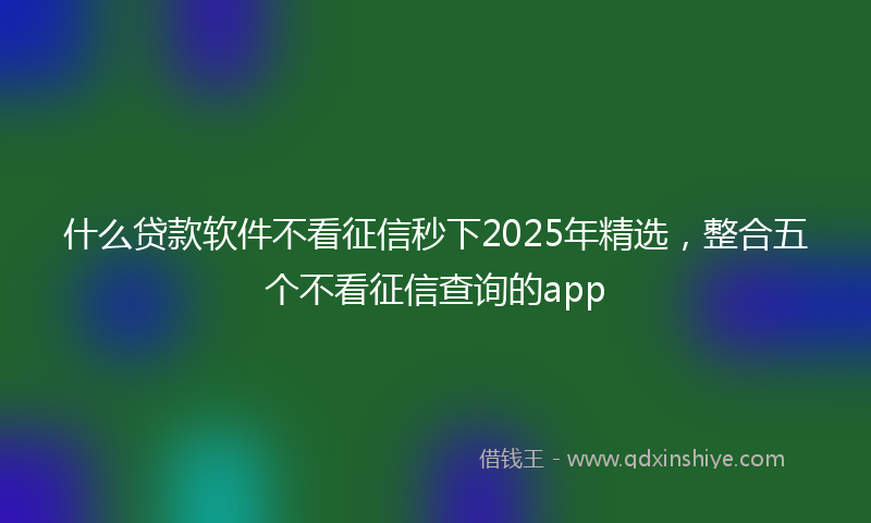 什么贷款软件不看征信秒下2025年精选，整合五个不看征信查询的app