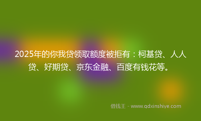 2025年的你我贷领取额度被拒有：柯基贷、人人贷、好期贷、京东金融、百度有钱花等。