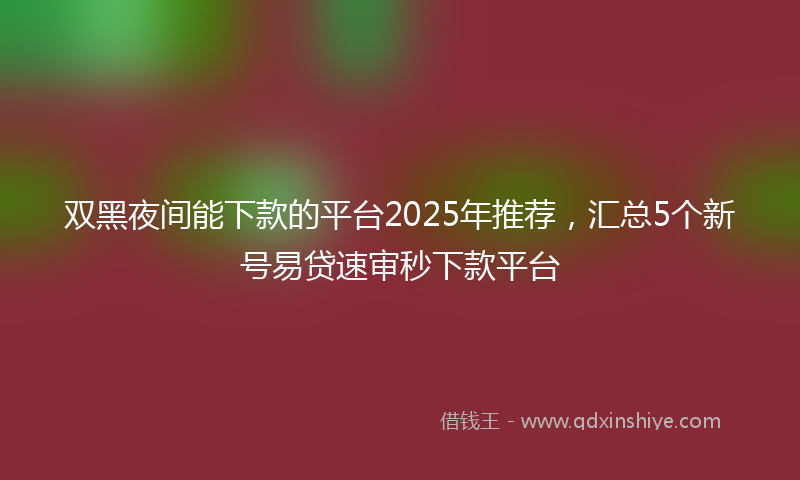 双黑夜间能下款的平台2025年推荐，汇总5个新号易贷速审秒下款平台
