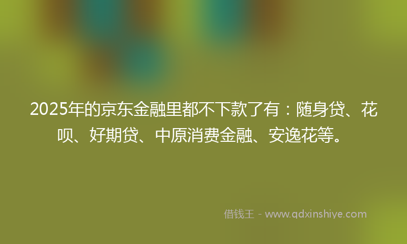 2025年的京东金融里都不下款了有：随身贷、花呗、好期贷、中原消费金融、安逸花等。