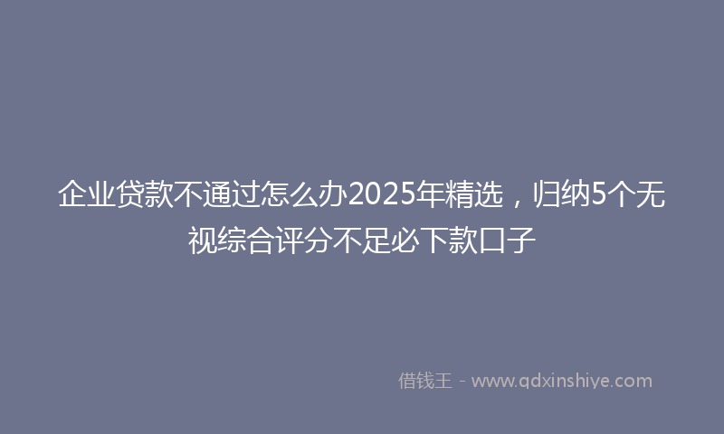 企业贷款不通过怎么办2025年精选，归纳5个无视综合评分不足必下款口子