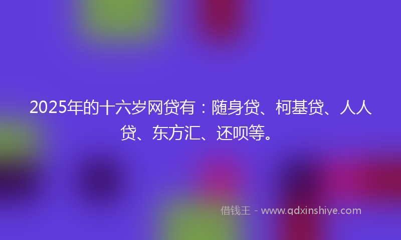 2025年的十六岁网贷有：随身贷、柯基贷、人人贷、东方汇、还呗等。