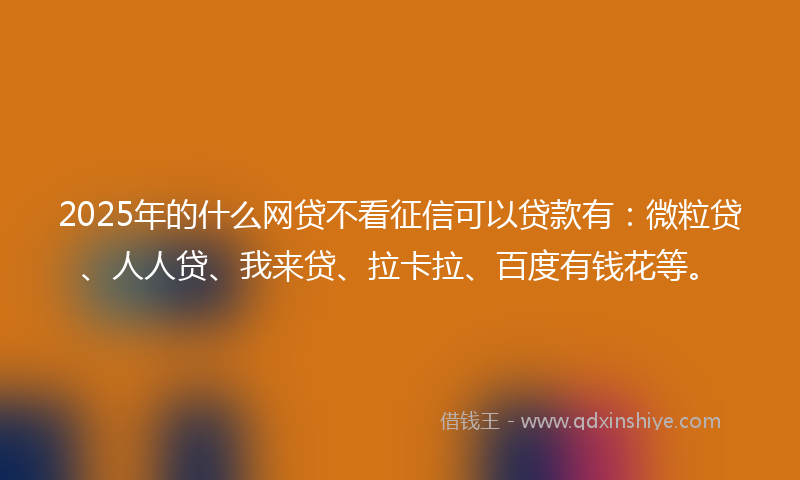 2025年的什么网贷不看征信可以贷款有：微粒贷、人人贷、我来贷、拉卡拉、百度有钱花等。
