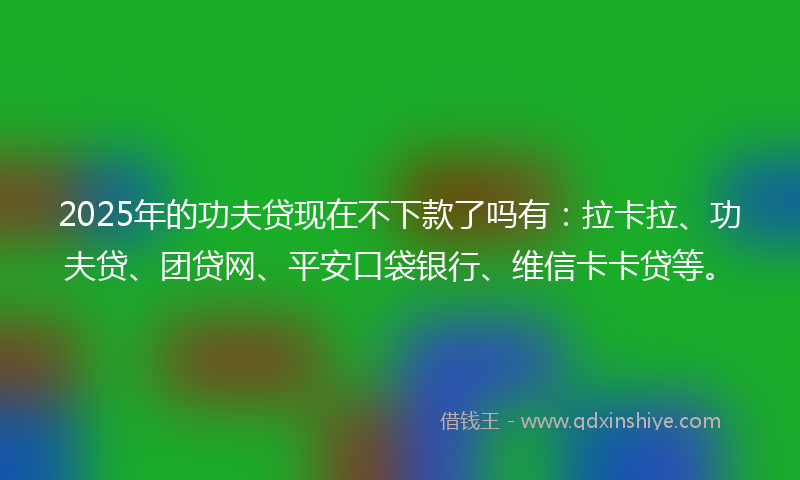2025年的功夫贷现在不下款了吗有：拉卡拉、功夫贷、团贷网、平安口袋银行、维信卡卡贷等。