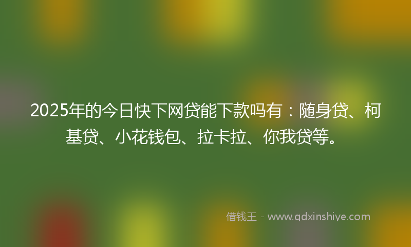 2025年的今日快下网贷能下款吗有：随身贷、柯基贷、小花钱包、拉卡拉、你我贷等。
