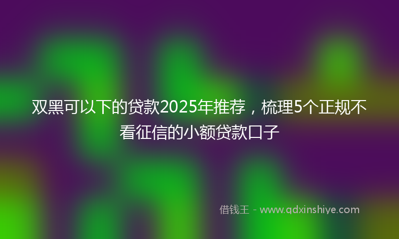 双黑可以下的贷款2025年推荐，梳理5个正规不看征信的小额贷款口子