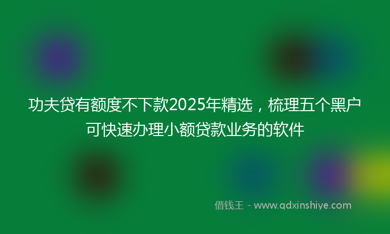 功夫贷有额度不下款2025年精选，梳理五个黑户可快速办理小额贷款业务的软件