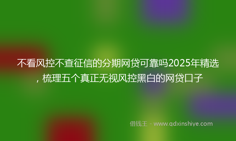 不看风控不查征信的分期网贷可靠吗2025年精选，梳理五个真正无视风控黑白的网贷口子