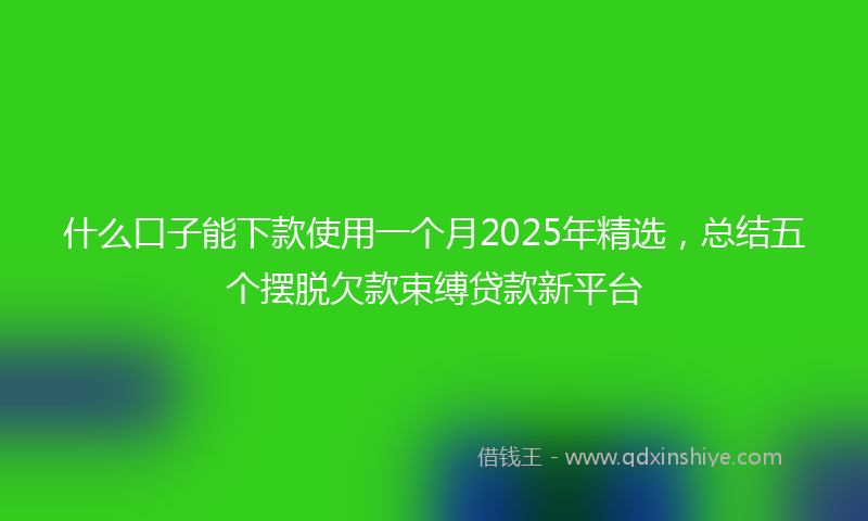 什么口子能下款使用一个月2025年精选，总结五个摆脱欠款束缚贷款新平台