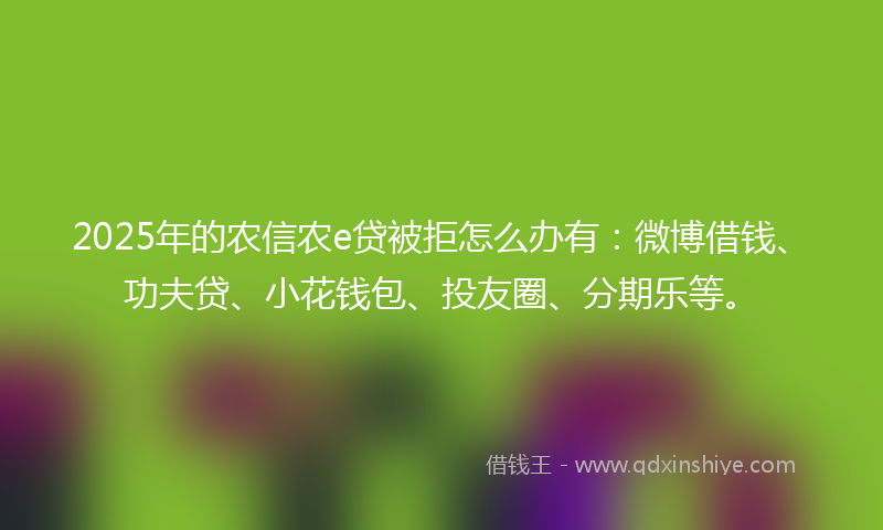 2025年的农信农e贷被拒怎么办有：微博借钱、功夫贷、小花钱包、投友圈、分期乐等。