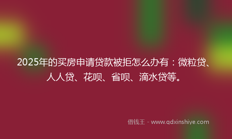 2025年的买房申请贷款被拒怎么办有：微粒贷、人人贷、花呗、省呗、滴水贷等。
