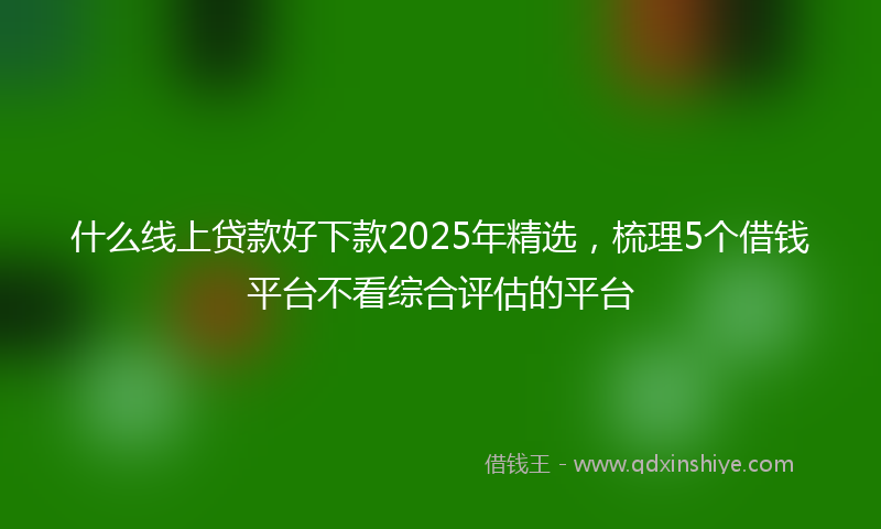什么线上贷款好下款2025年精选，梳理5个借钱平台不看综合评估的平台