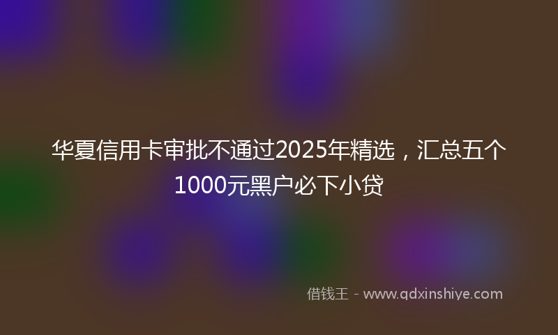 华夏信用卡审批不通过2025年精选，汇总五个1000元黑户必下小贷