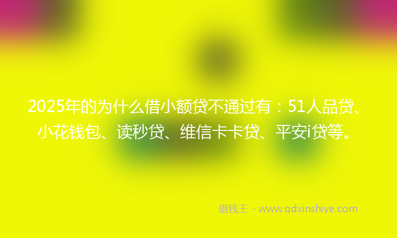 2025年的为什么借小额贷不通过有：51人品贷、小花钱包、读秒贷、维信卡卡贷、平安i贷等。