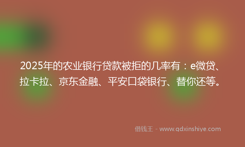 2025年的农业银行贷款被拒的几率有：e微贷、拉卡拉、京东金融、平安口袋银行、替你还等。