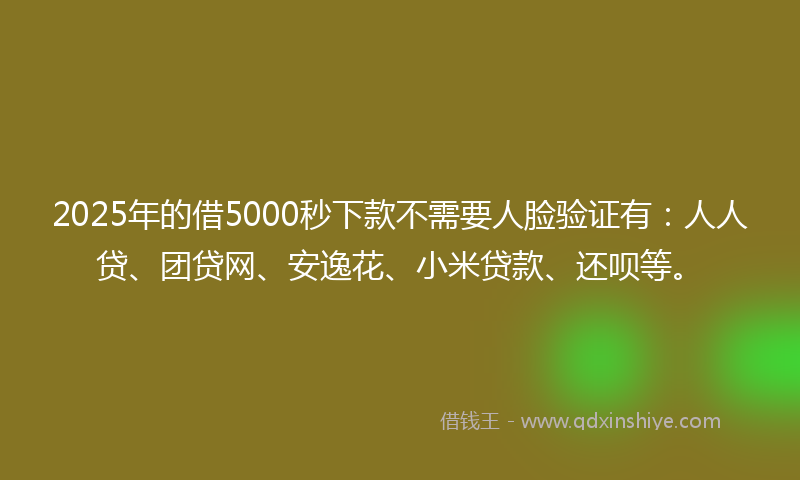 2025年的借5000秒下款不需要人脸验证有：人人贷、团贷网、安逸花、小米贷款、还呗等。