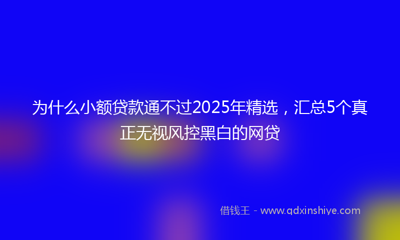 为什么小额贷款通不过2025年精选，汇总5个真正无视风控黑白的网贷