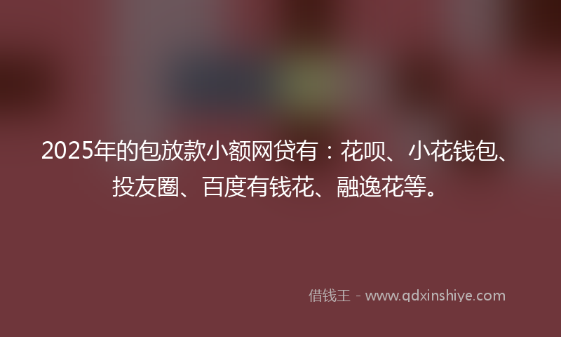 2025年的包放款小额网贷有：花呗、小花钱包、投友圈、百度有钱花、融逸花等。