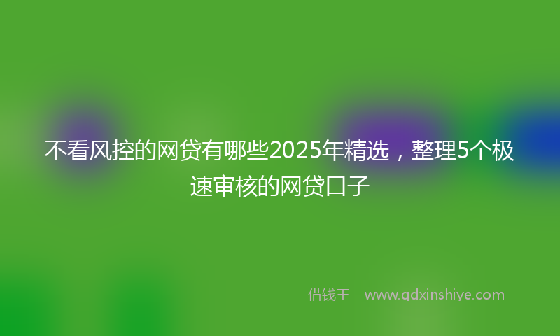 不看风控的网贷有哪些2025年精选，整理5个极速审核的网贷口子