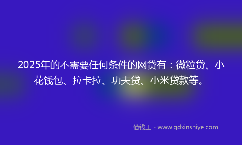 2025年的不需要任何条件的网贷有：微粒贷、小花钱包、拉卡拉、功夫贷、小米贷款等。