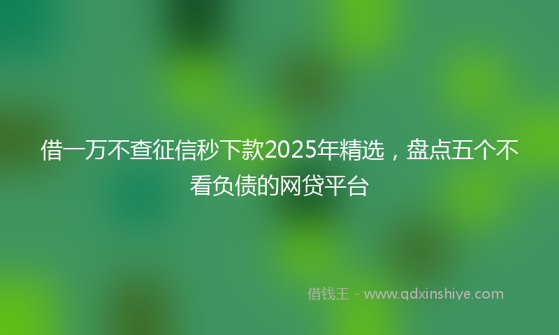 借一万不查征信秒下款2025年精选，盘点五个不看负债的网贷平台