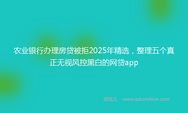 农业银行办理房贷被拒2025年精选，整理五个真正无视风控黑白的网贷app