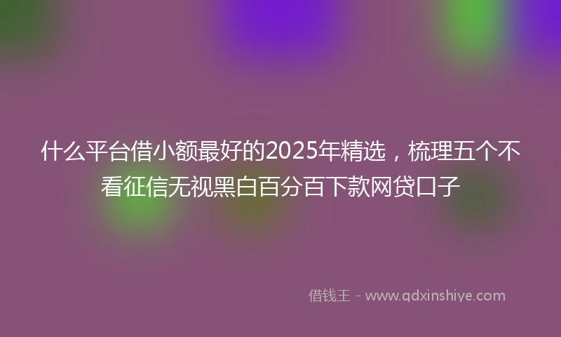 什么平台借小额最好的2025年精选，梳理五个不看征信无视黑白百分百下款网贷口子