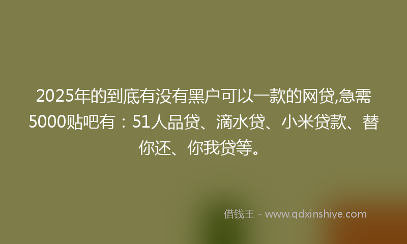 2025年的到底有没有黑户可以一款的网贷,急需5000贴吧有：51人品贷、滴水贷、小米贷款、替你还、你我贷等。