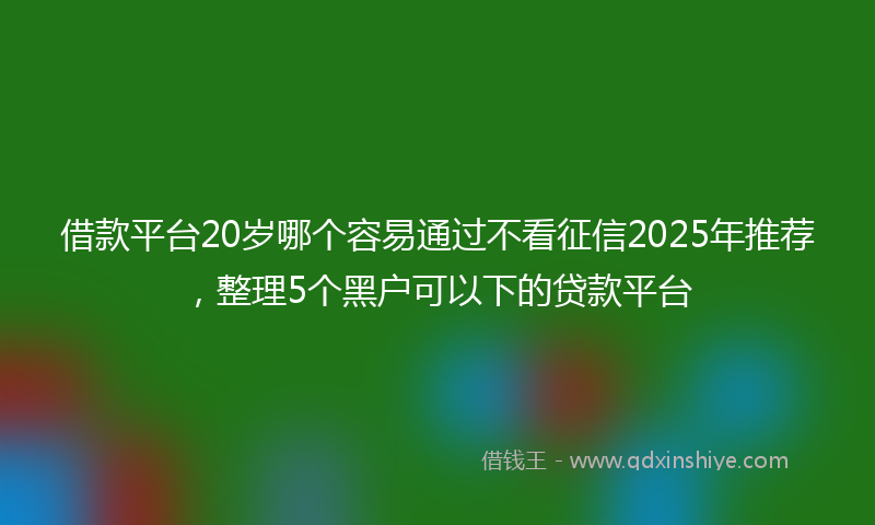 借款平台20岁哪个容易通过不看征信2025年推荐，整理5个黑户可以下的贷款平台