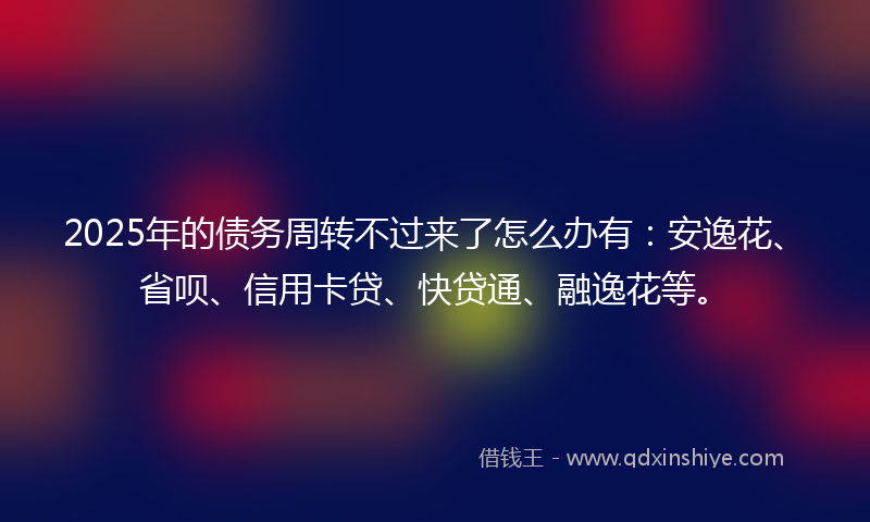2025年的债务周转不过来了怎么办有：安逸花、省呗、信用卡贷、快贷通、融逸花等。