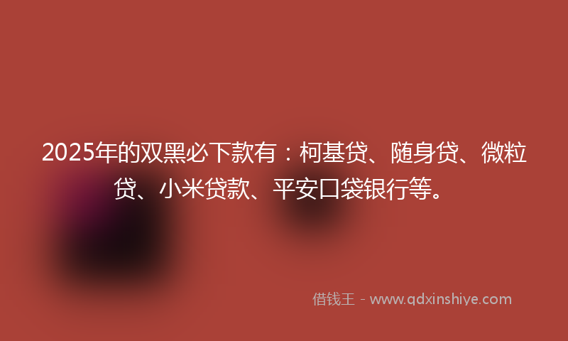2025年的双黑必下款有：柯基贷、随身贷、微粒贷、小米贷款、平安口袋银行等。
