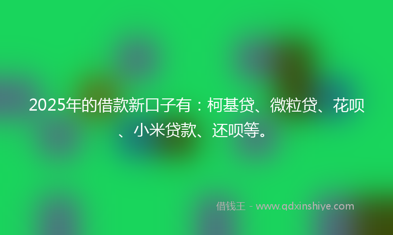 2025年的借款新口子有：柯基贷、微粒贷、花呗、小米贷款、还呗等。