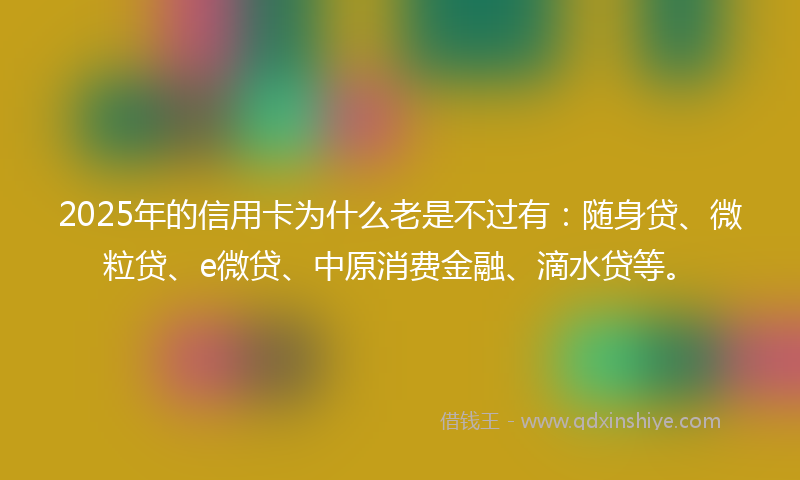 2025年的信用卡为什么老是不过有：随身贷、微粒贷、e微贷、中原消费金融、滴水贷等。