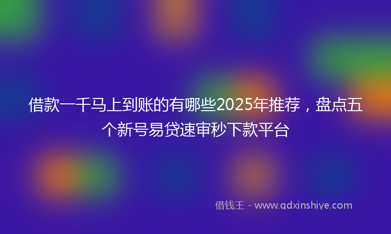 借款一千马上到账的有哪些2025年推荐，盘点五个新号易贷速审秒下款平台
