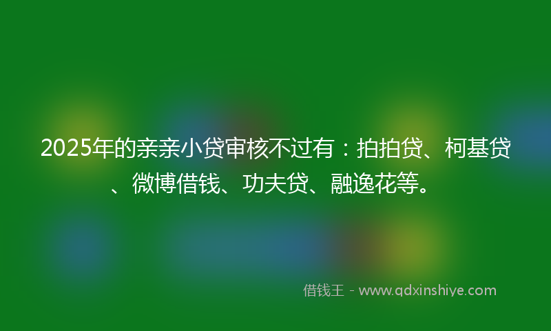 2025年的亲亲小贷审核不过有:拍拍贷、柯基贷、微博借钱、功夫贷、融逸花等。