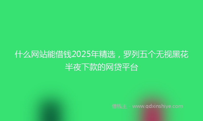 什么网站能借钱2025年精选，罗列五个无视黑花半夜下款的网贷平台