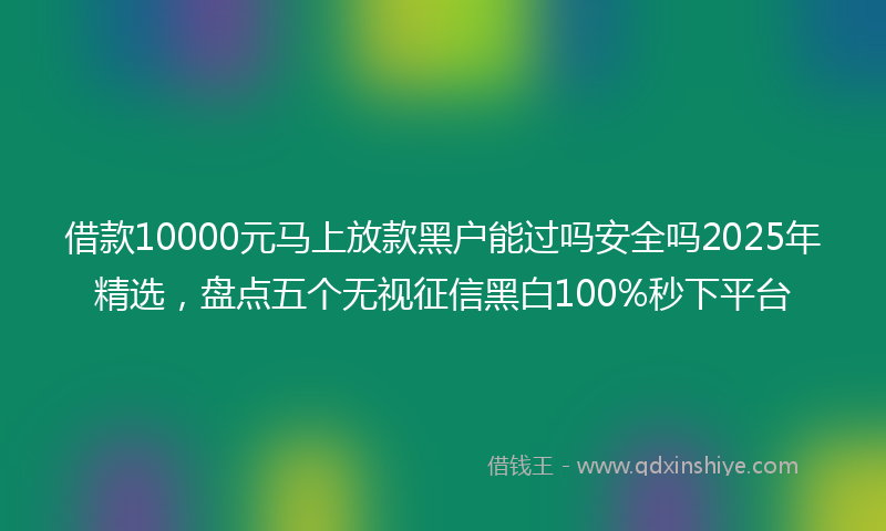 借款10000元马上放款黑户能过吗安全吗2025年精选，盘点五个无视征信黑白100%秒下平台