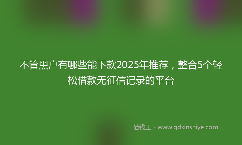 不管黑户有哪些能下款2025年推荐，整合5个轻松借款无征信记录的平台