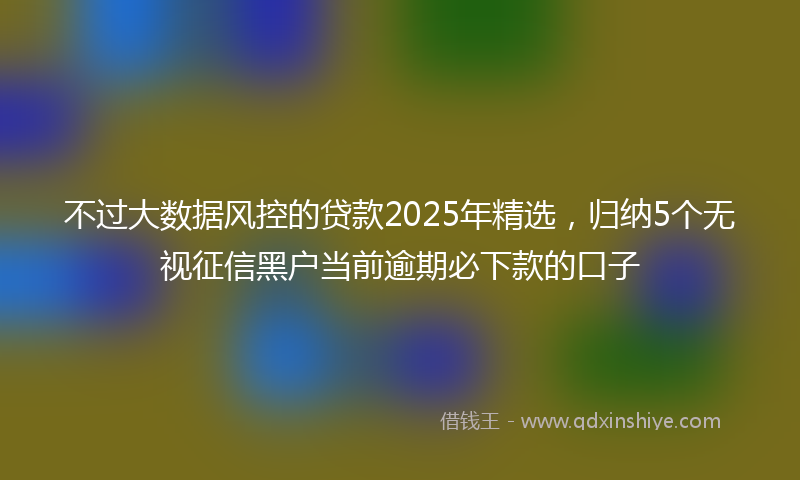 不过大数据风控的贷款2025年精选，归纳5个无视征信黑户当前逾期必下款的口子