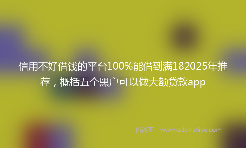 信用不好借钱的平台100%能借到满182025年推荐，概括五个黑户可以做大额贷款app