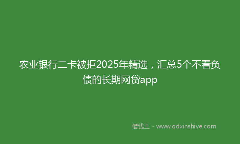 农业银行二卡被拒2025年精选，汇总5个不看负债的长期网贷app