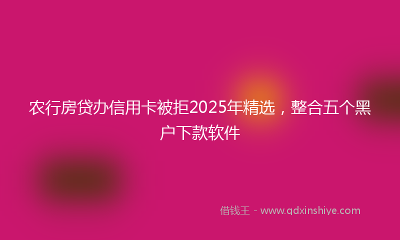 农行房贷办信用卡被拒2025年精选，整合五个黑户下款软件