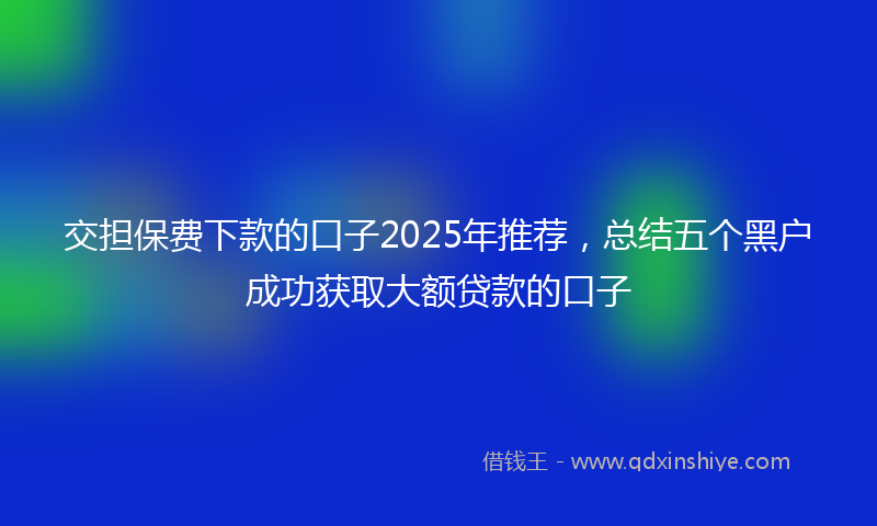 交担保费下款的口子2025年推荐，总结五个黑户成功获取大额贷款的口子