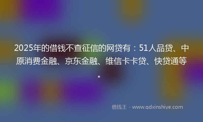 2025年的借钱不查征信的网贷有：51人品贷、中原消费金融、京东金融、维信卡卡贷、快贷通等。