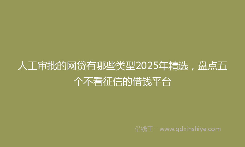 人工审批的网贷有哪些类型2025年精选，盘点五个不看征信的借钱平台