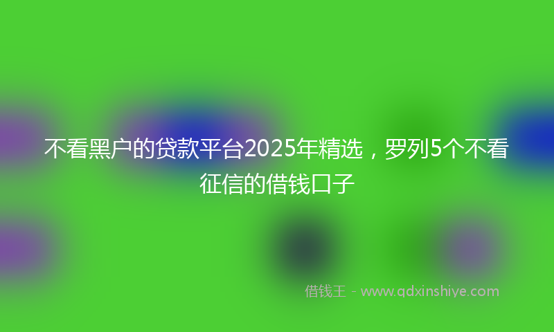 不看黑户的贷款平台2025年精选，罗列5个不看征信的借钱口子