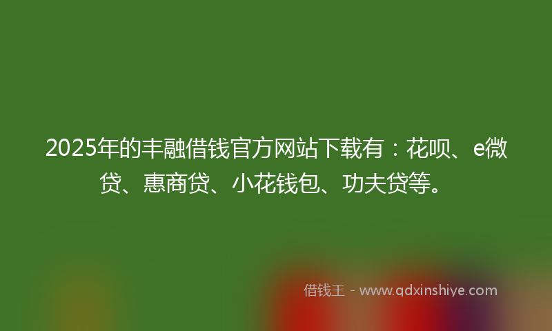 2025年的丰融借钱官方网站下载有：花呗、e微贷、惠商贷、小花钱包、功夫贷等。