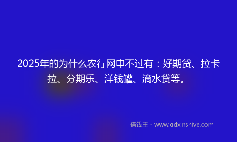 2025年的为什么农行网申不过有：好期贷、拉卡拉、分期乐、洋钱罐、滴水贷等。